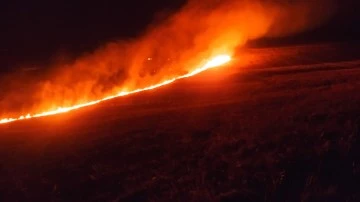 Sivas'ta 2 Bin Dekarda Etkili Olan Yangın Söndürüldü 