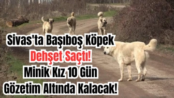 Sivas'ta Başıboş Köpek Dehşet Saçtı! Minik Kız 10 Gün Gözetim Altında Kalacak! 