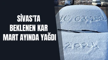 Sivas'ta Beklenen Kar Mart Ayında Yağdı 