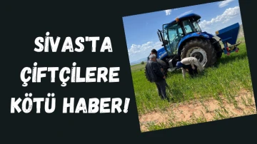 Sivas'ta Çiftçilere Kötü Haber! 
