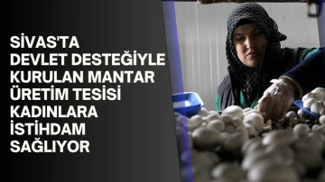 Sivas'ta Devlet Desteğiyle Kurulan Mantar Üretim Tesisi Kadınlara İstihdam Sağlıyor