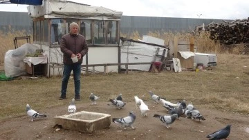 Sivas'ta Havalar Taklacı Kuşların da Kafasını Karıştırdı! 