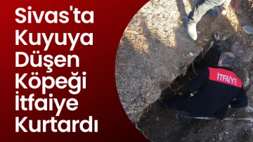 Sivas'ta Kuyuya Düşen Köpeği İtfaiye Kurtardı 