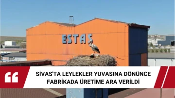Sivas'ta Leylekler Yuvasına Dönünce Fabrikada Üretime Ara Verildi 