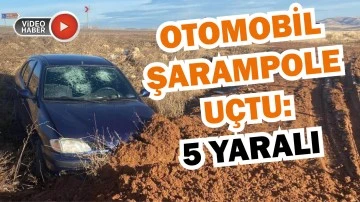 Sivas'ta Otomobil Şarampole Uçtu: 5 Yaralı  