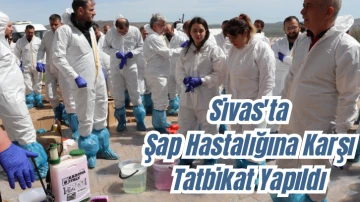 Sivas'ta Şap Hastalığına Karşı Tatbikat Yapıldı 