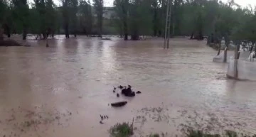 Kangal'da Yoğun Yağış Sele Sebep Oldu