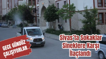 Sivas’ta Sokaklar Sineklere Karşı İlaçlandı 