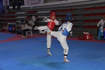 Sivas'ta Taekwondo Rüzgarı Festival Havasında 