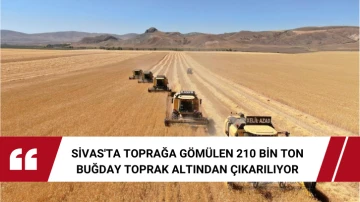Sivas'ta Toprağa Gömülen 210 Bin Ton Buğday Toprak Altından Çıkarılıyor 