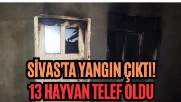 Sivas'ta Yangın Çıktı! 13 Hayvan Telef Oldu 
