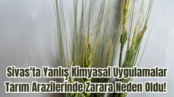 Sivas'ta Yanlış Kimyasal Uygulamalar Tarım Arazilerinde Zarara Neden Oldu! 