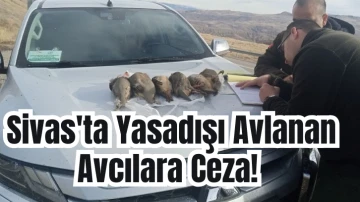 Sivas'ta Yasadışı Avlanan Avcılara Ceza!