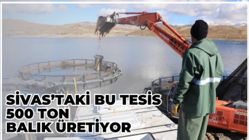 Sivas’taki Bu Tesis 500 Ton Balık Üretiyor