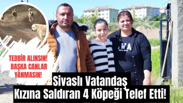 Sivaslı Vatandaş Kızına Saldıran 4 Köpeği Telef Etti! 