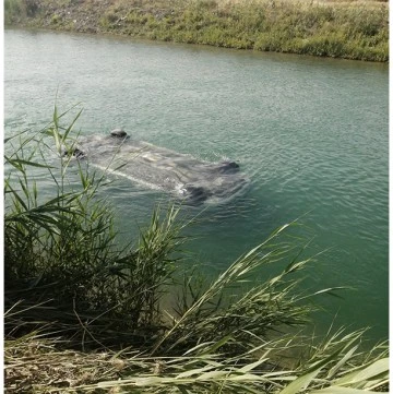 Sulama Kanalına Düşen Otomobilden 3 Erkek Cesedi Çıktı
