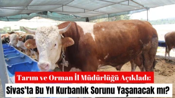 Tarım ve Orman İl Müdürlüğü Açıkladı: Sivas'ta Bu Yıl Kurbanlık Sorunu Yaşanacak mı? 