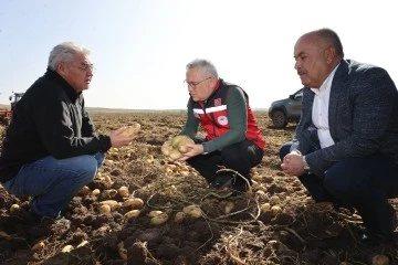 Tohumluk Üretiminde Türkiye'de İlk Sırada Yer Alan Sivas'ta Patates Hasadı Başladı 