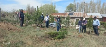 Ulaş'ta köy mezarlığı ağaçlandırıldı