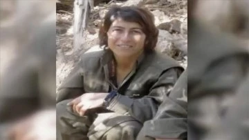 YPG-YPJ'nin Sözde Sorumlusu Etkisiz Hale Getirildi 