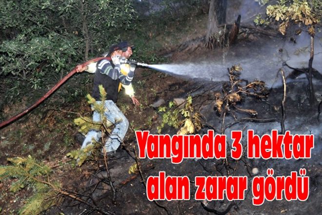 Yangında 3 hektar alan zarar gördü