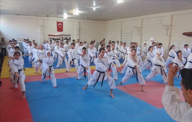 Karate Dan Eğitim Semineri Sivas´ta