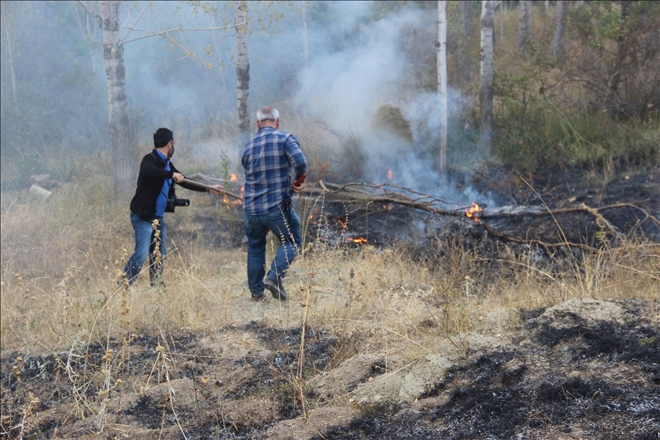 Orman Yangınları 11 Hektarı Kül Etti