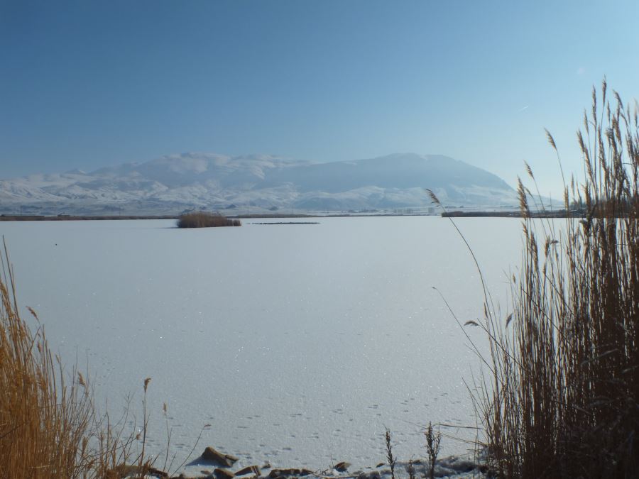 Sivas'ta Ulaş Gölü'nün Yüzeyi Buz Tuttu