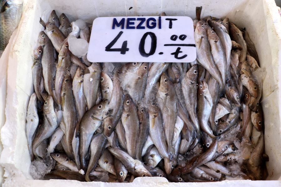Balık Fiyatları Cep Yakıyor!