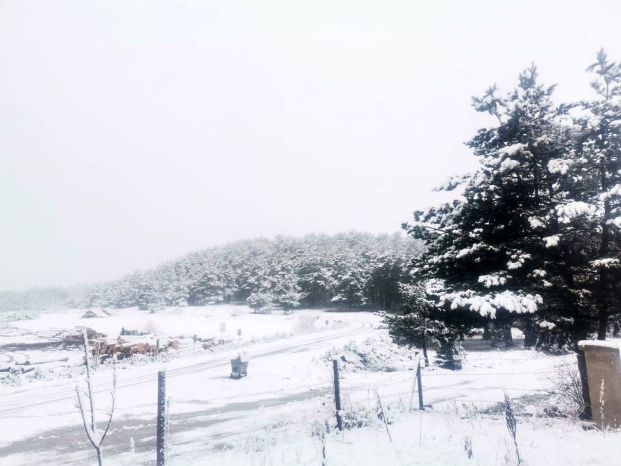 Sivas'ta Kar Yağışı Etkili Oldu--Video