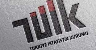 Türkiye İstatistik Kurumu Sözleşmeli Bilişim Personeli alım ilanı