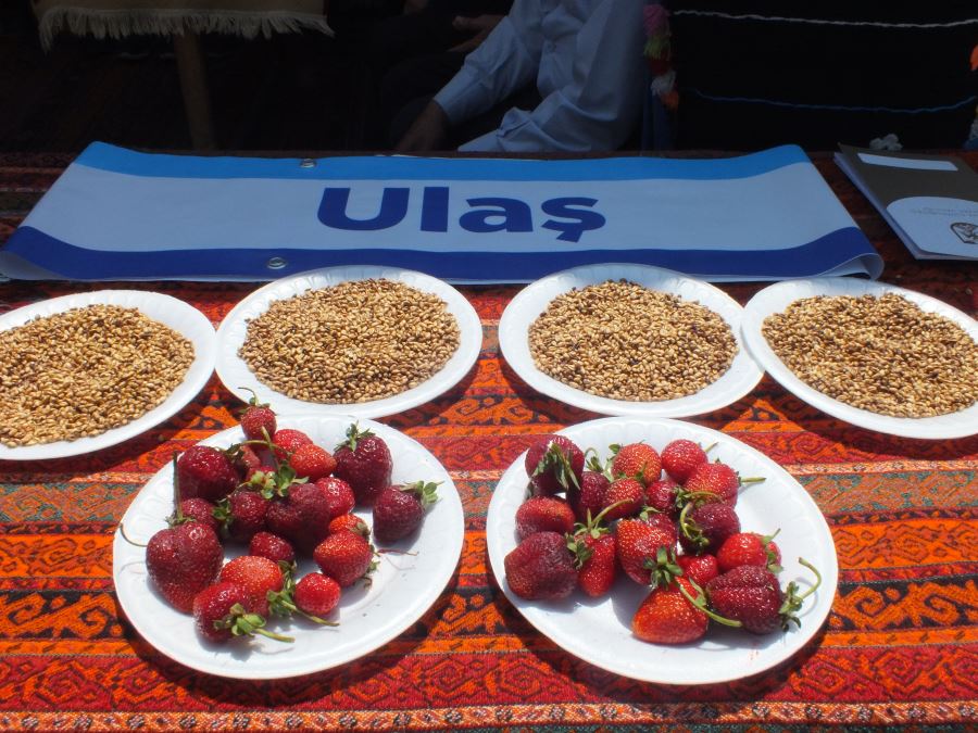 Sivas'ta Gardaşlık Festivali Kapsamında Ulaş İlçesi Tanıtıldı