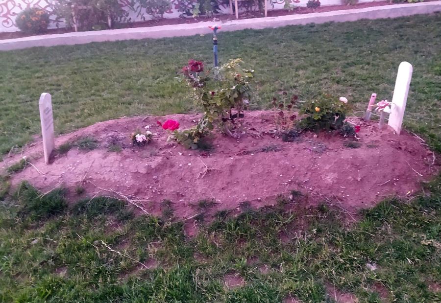 Çok Sevdiği Eşinin Mezarını Adeta Bahçeye Çevirdi 