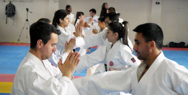 Karatede 2015 Yılı Başarıları