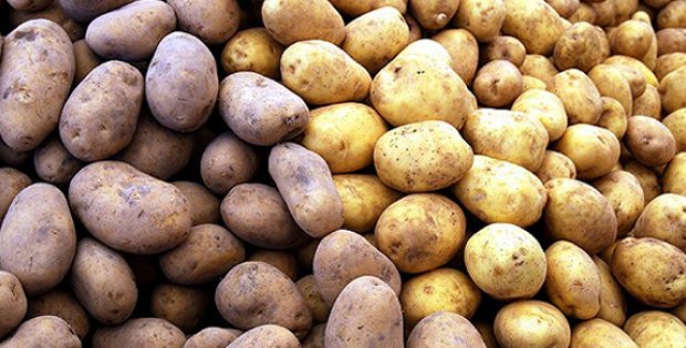 Patates Depodan Çıktı Fiyatı Düştü